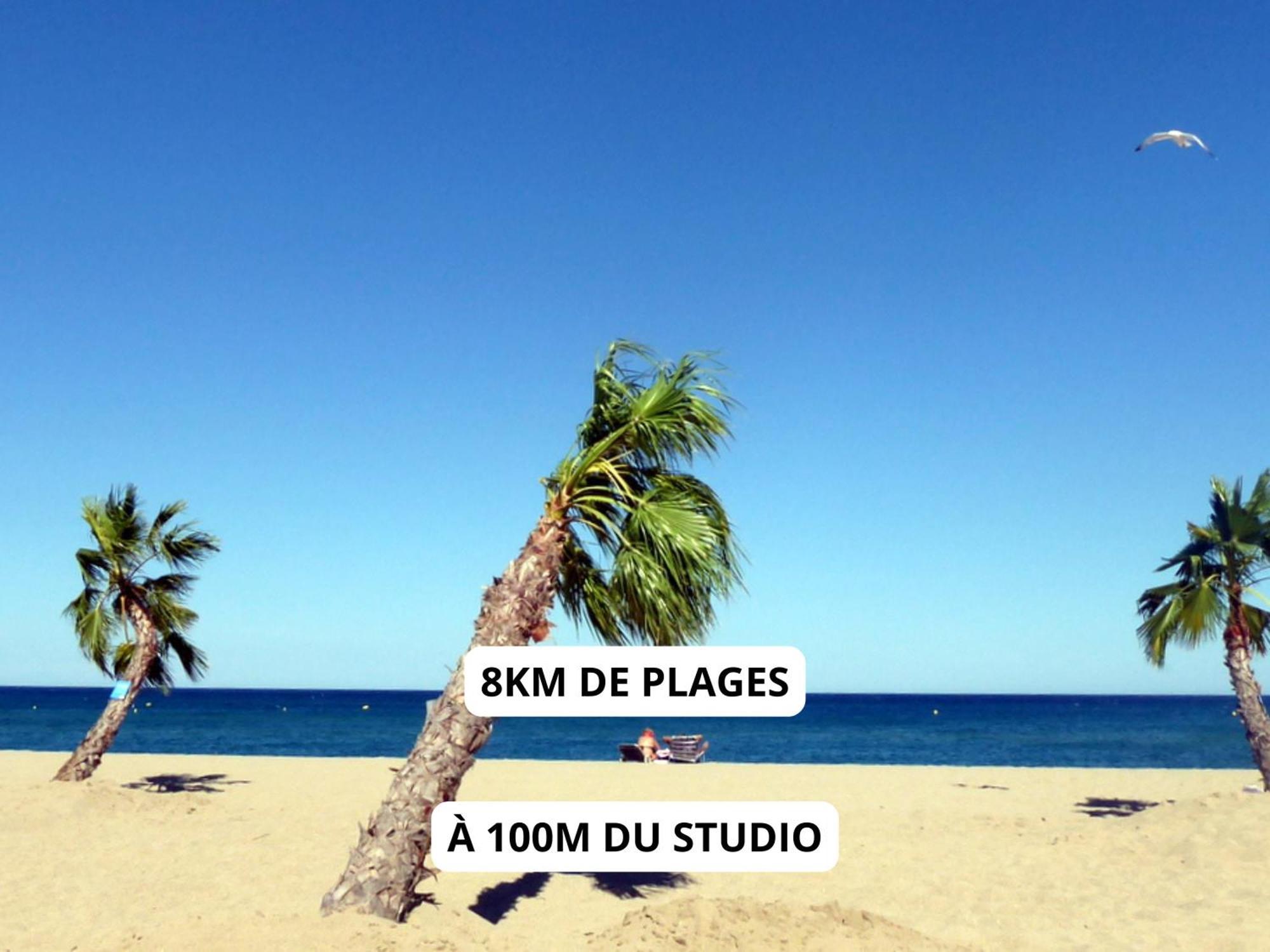 Appartement A 100M De La Plage - Terrasse & Parking Prive Le Barcarès Εξωτερικό φωτογραφία